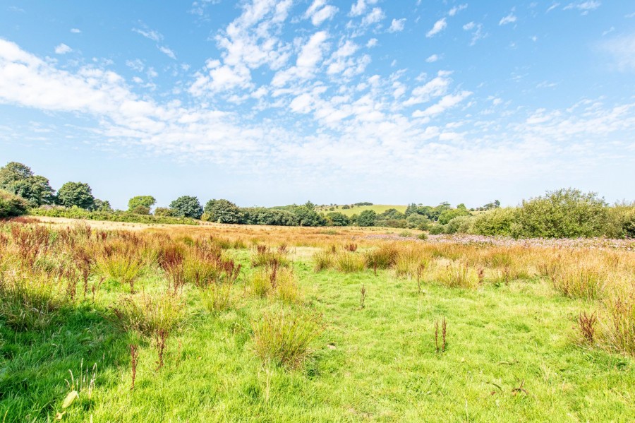 Images for The Brake, Common Moor, PL14