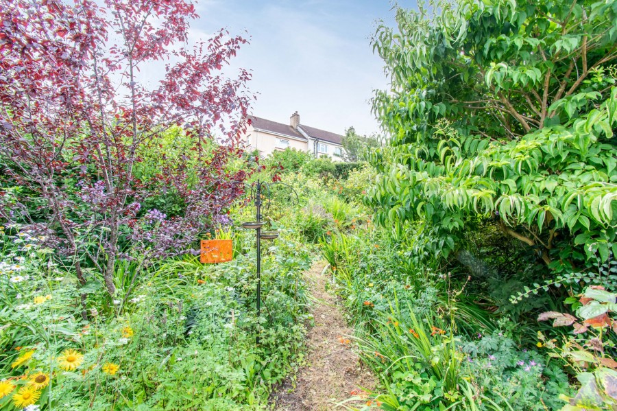 Images for Limes Lane, Liskeard, PL14